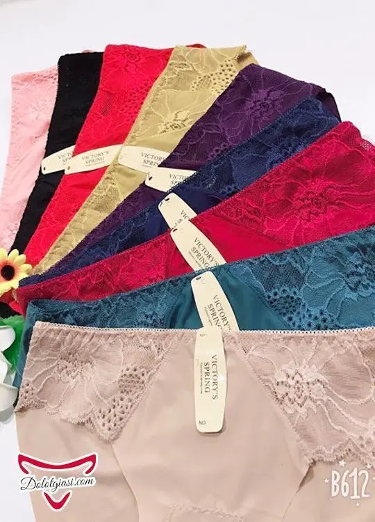 Quần lót cotton phối ren cao cấp QC4