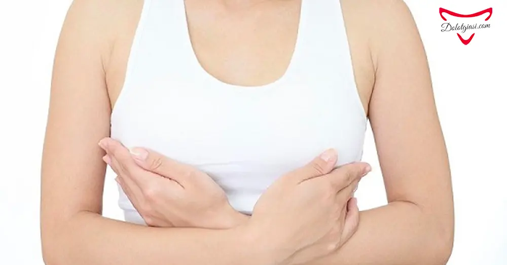 Mầm đậu nành - Liệu có tăng kích thước vòng 1 như kỳ vọng? 7 Mầm đậu nành cải thiện kích thước vòng 1 hiệu quả