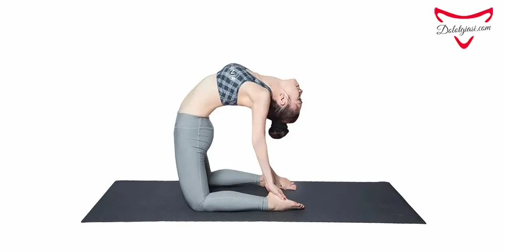 20+ Bài tập tăng vòng 1 cho nữ "SIÊU TỐC" không thể bỏ qua! 18 Bài tập yoga con lạc đà giúp căng cơ vòng 1