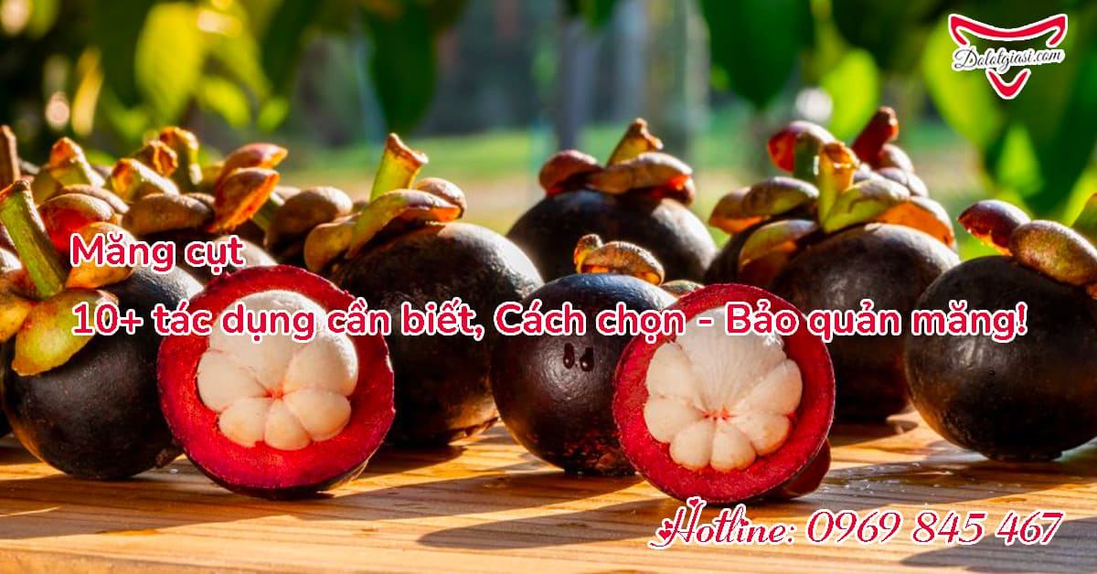 Măng cụt - 10 tác dụng cần biết, cách chọn và bảo quản măng đúng cách